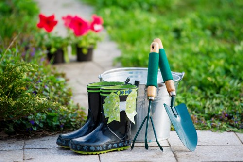 Residential lawn mowing service in Forest Gate