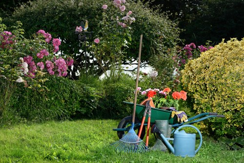 Close-up of hedge trimmings and cuttings ready for removal