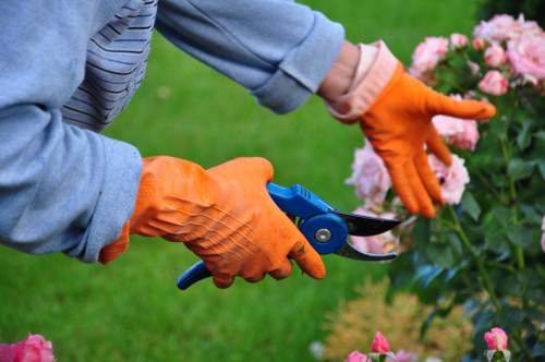 Workers trimming a hedge with safety gear