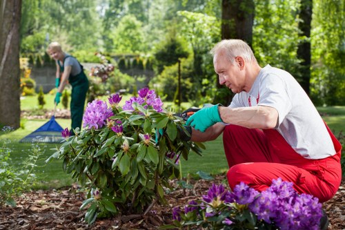 Benefits of professional garden clearance