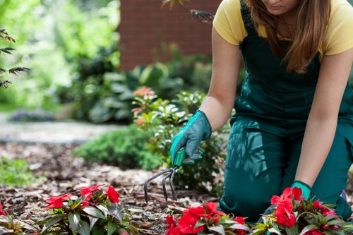 Comprehensive garden clearance services