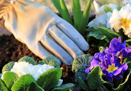 Cost factors for garden clearance in Forest Gate