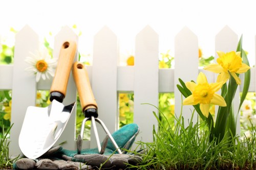 Healthy green lawn freshly mowed
