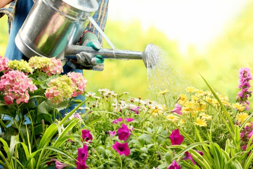Seasonal garden maintenance in Forest Gate
