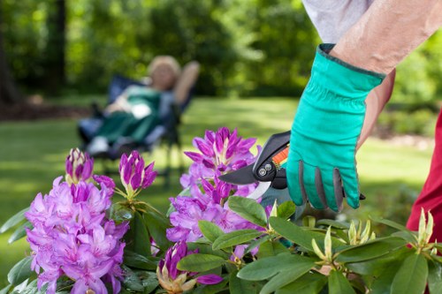 Compliance officer conducting an on-site audit at a hedge maintenance location