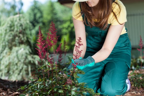 Professional garden design elements