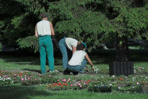 Expert team providing lawn maintenance in Forest Gate