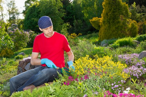 Well-maintained hedge showcasing formal shaping