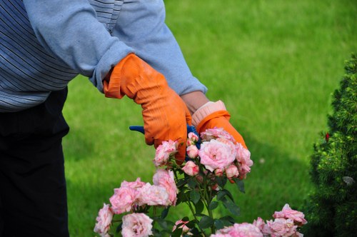 Team clearing garden waste in a terraced property