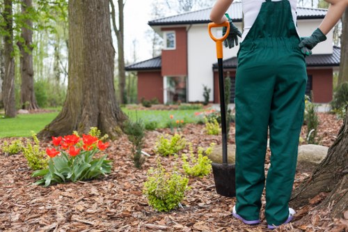 Customer receiving accessible information about hedge trimming services in the Forest Gate neighbourhood