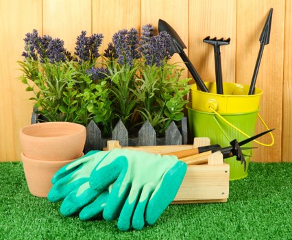 Advanced equipment used for tree services